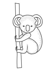 wild koala australian creature hanging in tree