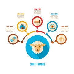 Sheep farming icon and agriculture infographics