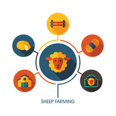 Sheep farming icon and agriculture infographics