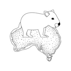 wild wombat creature over australian map