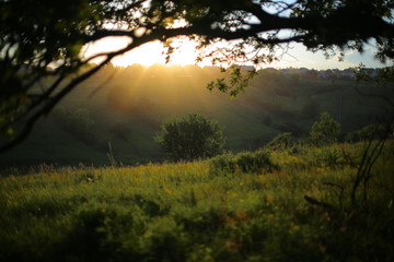 Sunset on a summer evening 