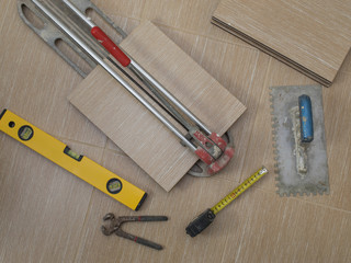 renovation of apartments, laying tiles in the bathroom. 