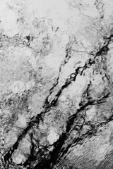 background trees reflection in water