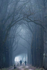 People walking dog in sandy path in foggy winter forest.