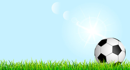 Soccer ball on a green grass lawn 1