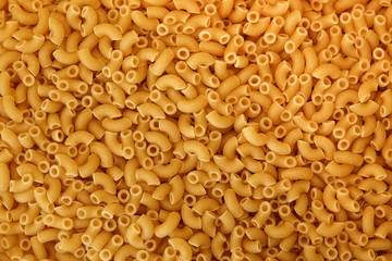 Close up of uncooked macaroni / pasta. Texture for background. Copy space for text.