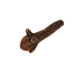 dried carnation isolated on white background. spice