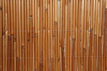 bamboo background at the wall