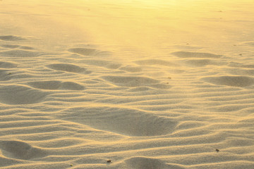 Des pas dans le sable