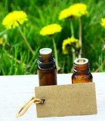 huile essentielle de pissenlit