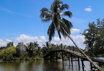 Wooden bridge in Cuba