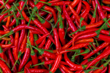 Red Chillies Background,Selective focus.Thai chillies.Organic ingredient thai food.