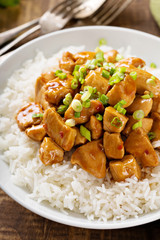 Sweet and sour chicken with rice