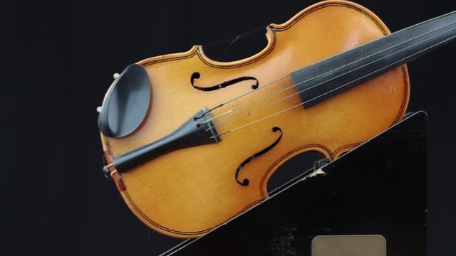gros plan violon bois design