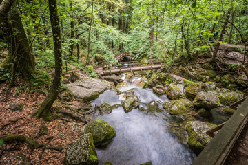 Obraz premium Myrafälle bei Wr. Neustadt. (A)