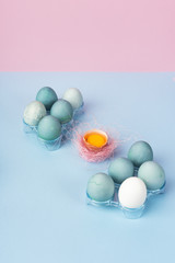 Yolk in eggshell decorated with pink sisal nest and several blue eggs in plastic egg boxes on the minimalist blue and pink background