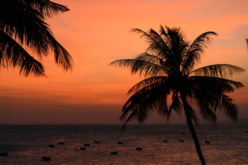 Naklejka na ściany i meble Sunset at the sea, Vietnam