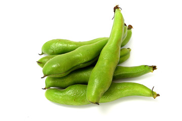新鮮なそら豆（ソラマメ）　白背景　コピースペースあり	