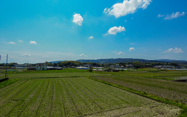 Fototapeta na wymiar Japanese countryside in Nara, Japan