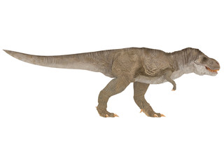 Obraz na płótnie Canvas Tyrannosaurus Rex or T-rex from different point of view like top front or side isolated on a white background 3d rendering