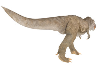 Tyrannosaurus Rex or T-rex from different point of view like top front or side isolated on a white background 3d rendering