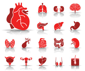 Der Mensch - Organe Iconset (Rot)