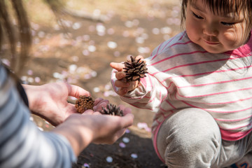 ・親子・手・松ぼっくり