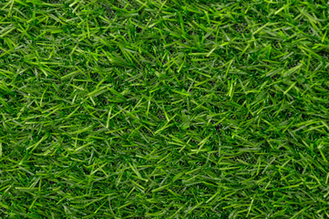 Green grass texture background pattern