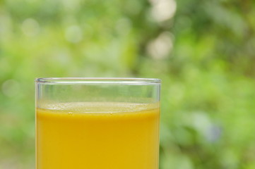 orange juice in glass on garden background