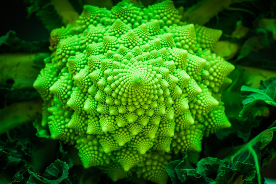 head of a romanesco - green and fresh