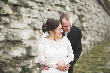 Amazing happy gentle stylish beautiful romantic caucasian couple on the background ancient baroque castle