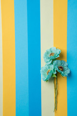 Beautiful background for business and study from paper of different colors and summer flowers