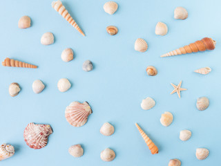 Many different sea shells on a blue background. Flat lay.