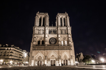 Fototapeta na wymiar Notre Dame by night