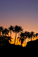 Obraz na płótnie Canvas Tropical beach at sunrise