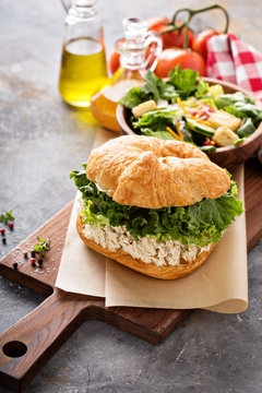 Chicken salad sandwich with lettuce