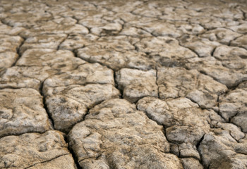 The parched soil and cracked