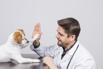 young veterinarian man with stethoscope, playing with a cute small dog high five.white background....