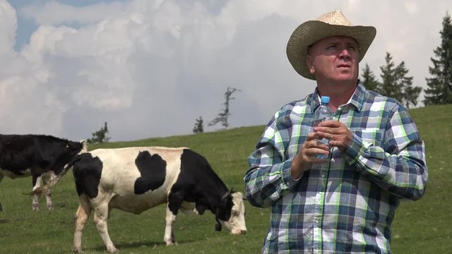 Farmer Cowboy Drinking Fresh Water with Beautiful Cows in a Mountain Farmland.