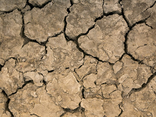The parched soil and cracked