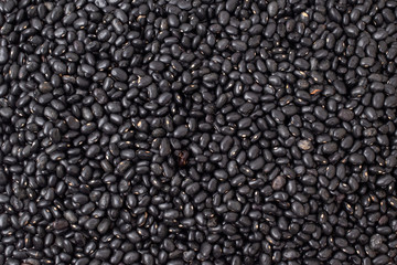 Black raw beans, ingredient of brazilian feijoada.