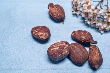 shea butter nuts and flowers on blue wood