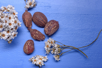 shea butter nuts and flowers on blue wood
