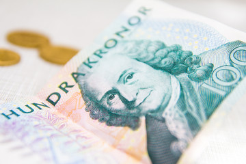 Swedish crown currency money