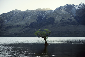Paisaje montañoso frente el que destaca un árbol saliendo del medio de un lago al atardecer