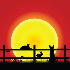 animal on sunset with grass and fence