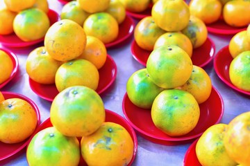 Pile of Oranges in Red Trays for Worshipping During Chinese New Year