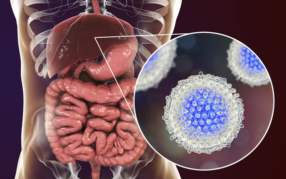 Hepatitis C virus infection medical concept, 3D illustration