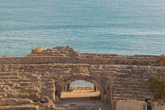 Roman Amphitheater of Tarragona, Spain