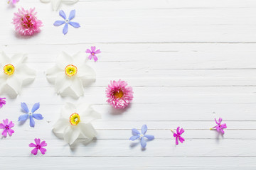 spring flowers on white wooden background